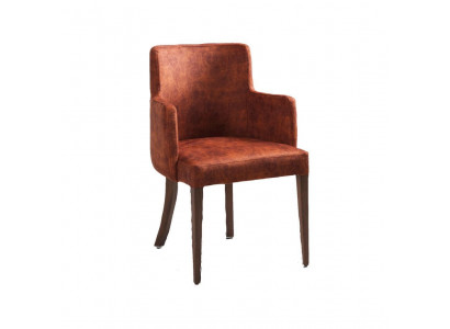 Chair Design Living room Dining room Real Wood Chairs Upholstery with Armrest new