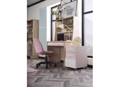 Group Childrens room Desk Bookshelves 4pcs Computer Wood Pink