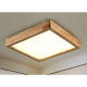 Modern Ceiling Lights